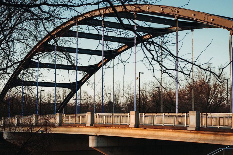 A bridge with a tree in the foreground