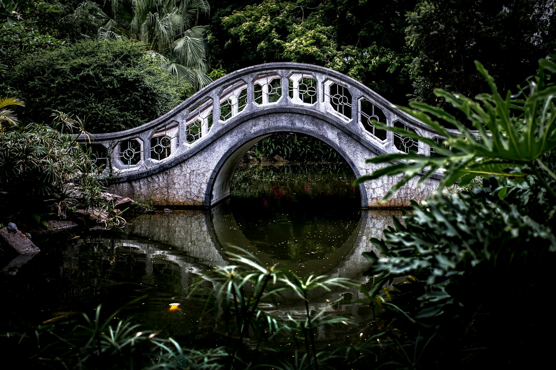 A bridge over a pond