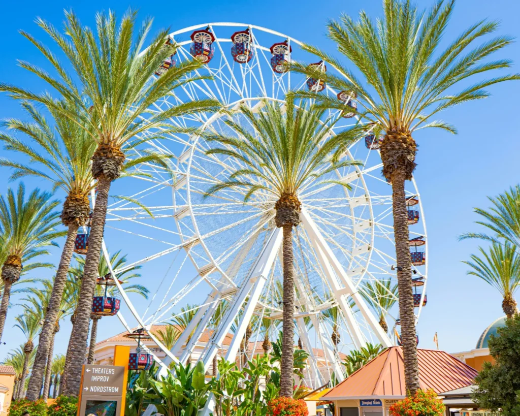 Ferris wheel surrounded by palm trees in Irvine.