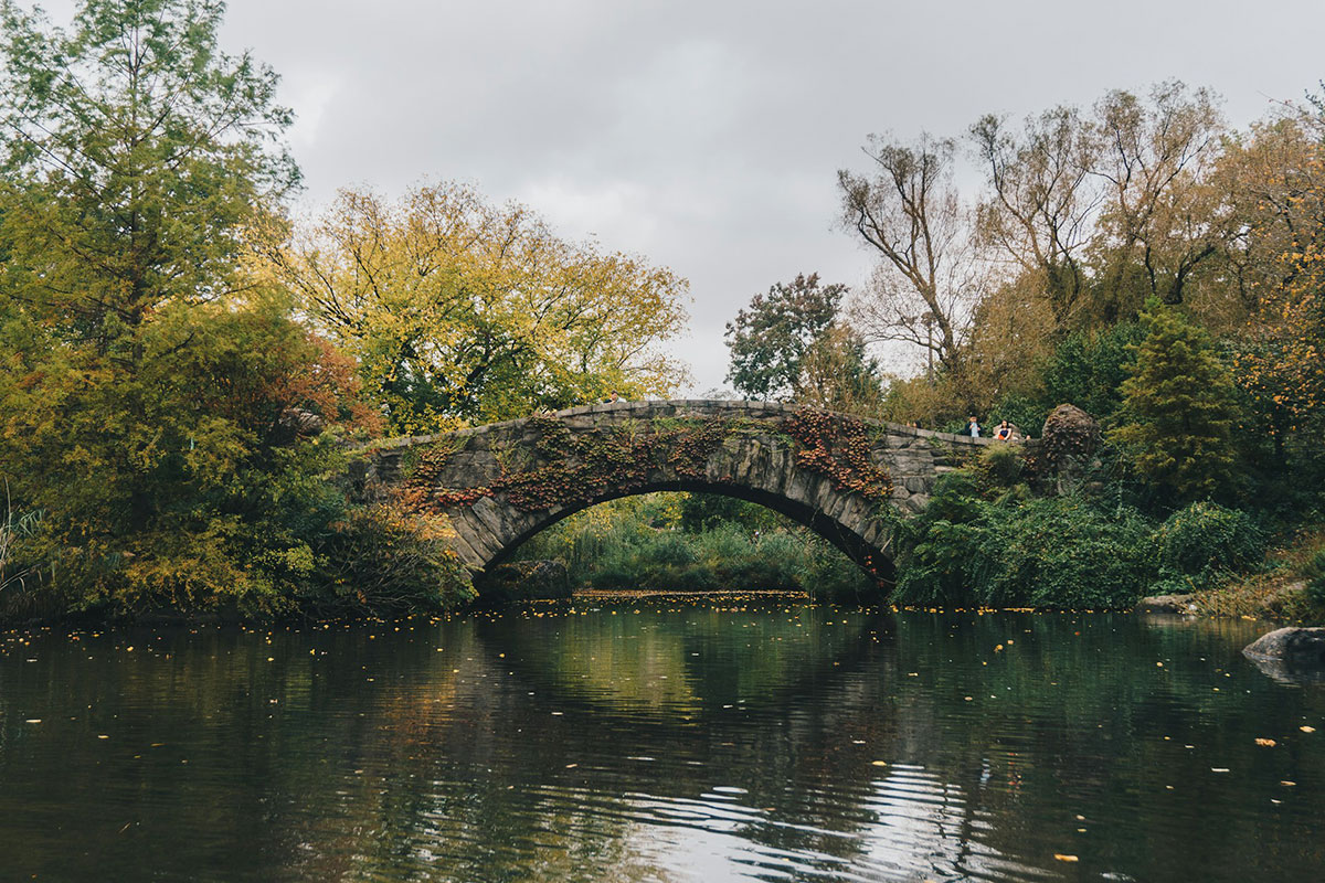 Bridge over a pond in the woods.