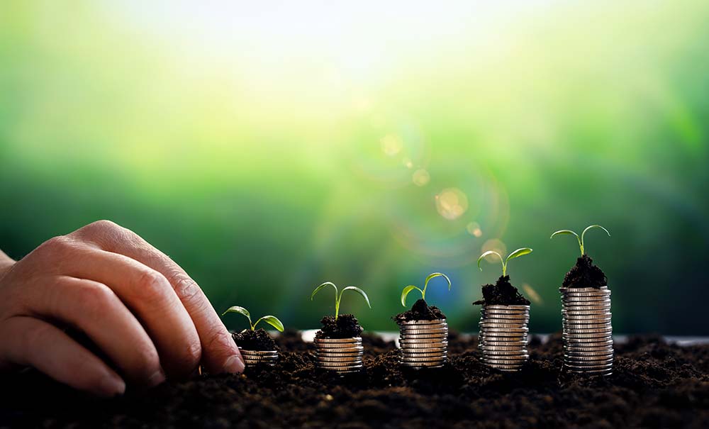 Person stacking coins with plants growing.