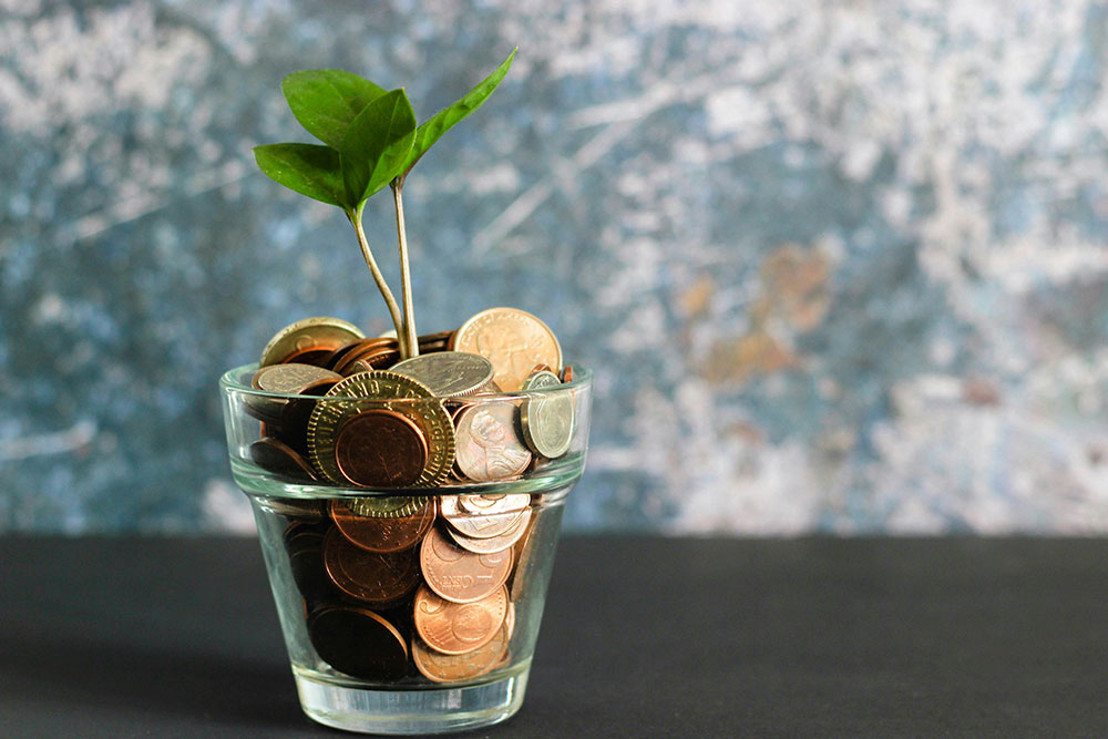 Coins in glass with plant growing.